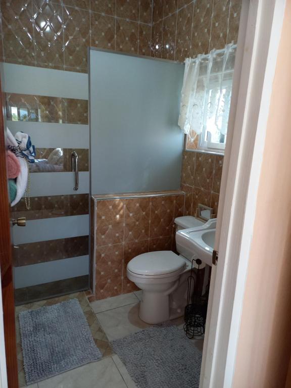 Bathroom with tiled walls shower and toilet